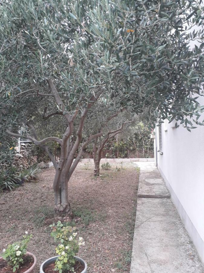 Apartments Boljat Trogir Exterior photo